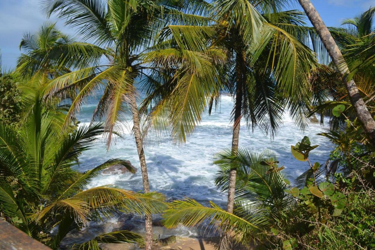 Hotel Cahuita Exterior photo